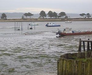 La préfecture veut des "mesures d'urgence" face à l'érosion au Cap Ferret