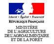 Mieux valoriser le bois français