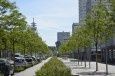 Nouveau Mons: chronique de la biodiversité ordinaire