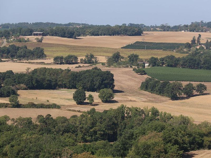 Salon de l'Agriculture : les fermes fournissent 20 % des EnR française