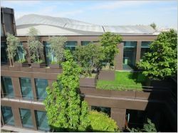 Guide des bonnes pratiques de cotraitance des chantiers de toitures-terrasses végétalisées