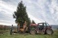 Grands arbres made in France : Guillot Bourne redémarre