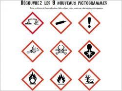 Neuf pictogrammes à connaître pour maîtriser les risques chimiques