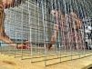 A Nancy, une formation aux collectifs d'architectes