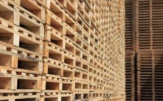 Les professionnels de la palette se rapprochent de la filière bois