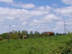 Le parc éolien français aura du mal à atteindre les objectif du Grenelle