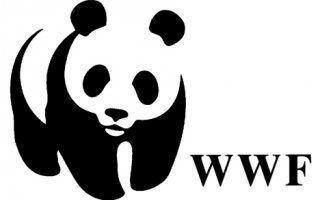 Bouygues Construction main dans la main avec WWF pour réinventer les villes