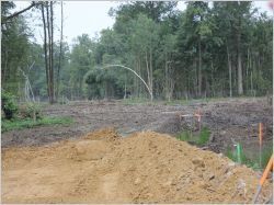 Le projet de construction d'un Center Parcs en Isère divise