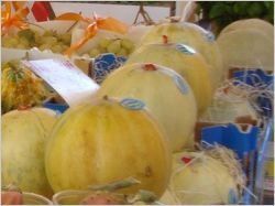 De l'électricité produite à partir de... melons