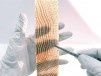 Le bois translucide : matériau du futur ?