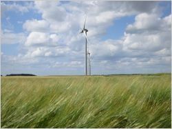 Tarif d'achat éolien : la conformité avec le droit européen rassure la filière
