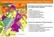 Les élus de Nantes Métropole préparent l'après-aéroport