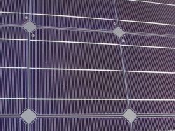 Solaire photovoltaïque : les acteurs du secteur plaident pour un investissement d'avenir