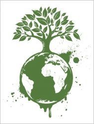Réglementation : Environnement