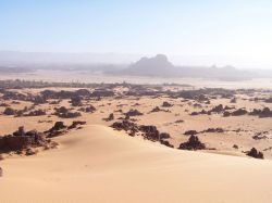 L'Algérie se lance dans l'électricité renouvelable