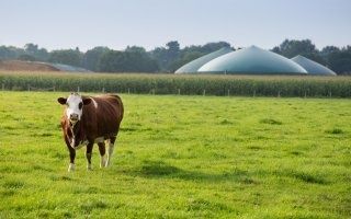 GRDF et l'INRA souhaitent développer la méthanisation agricole