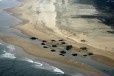 Sur le littoral aquitain, des bunkers entre oubli, patrimoine et submersion