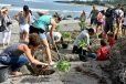 Des clics citoyens pour les arbres réunionnais