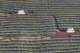 L'agriculture en mode écologique