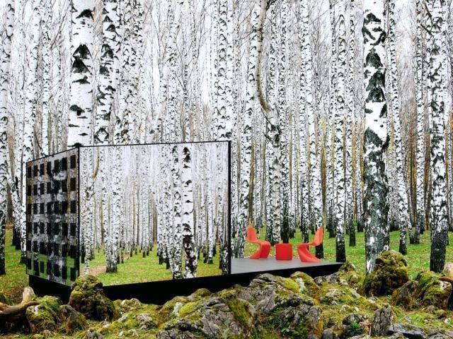 Une cabane écolo, invisible au milieu de la forêt