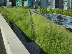 Recherche en architecture et en paysage : qui sont les 10 lauréats ?