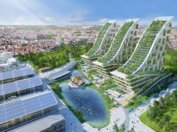Béton et végétaux peuvent-ils faire bon ménage ?