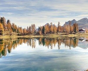 Que dit le rapport Planète Vivante du WWF ?