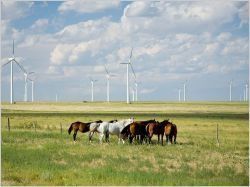 Iberdrola inaugure trois parcs éoliens aux Etats-Unis