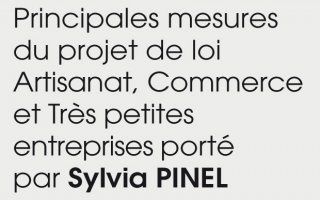 L'infographie pour comprendre le projet de loi Pinel en un clin d'"il