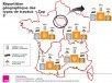Rénovation énergétique : les primes énergie varient fortement selon les régions