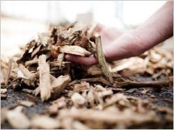 Douze pistes d'actions pour soutenir la biomasse