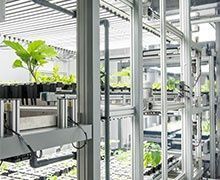 Première française : FUL inaugure son prototype de site industriel de production végétale en milieu urbain