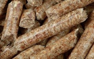 La plus grande usine française produisant des granulés de bois de chauffage démarre