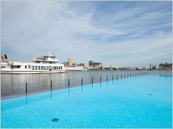 Une piscine géante filtrée par un champ de roseaux (diaporama)