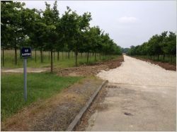 L'allée des Mortemets de Versailles se refait une beauté