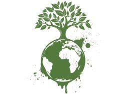 Parution d'un rapport en matière de développement durable dans les collectivités territoriales
