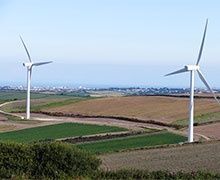 Éolien : le gouvernement propose un soutien inférieur aux attentes des industriels