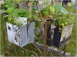 A quoi ressemblera le jardin urbain du futur ?