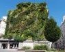 209 nouveaux lieux seront végétalisés à Paris