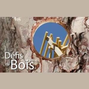 Fin de la 10ème édition des Défis du Bois