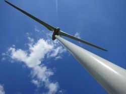 Usines d'éoliennes au Havre : les projets se précisent
