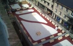 Etanchéité liquide armée pour la réfection d'une terrasse à Rouen