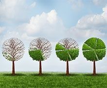 L'ASIV présente les chiffres de la filière des isolants biosourcés