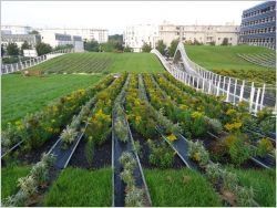 Un centre végétalisé pour la ville durable de demain à Champs-sur-Marne