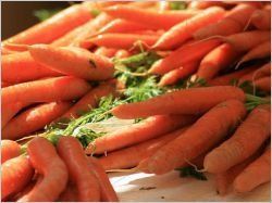 Un village landais bientôt chauffé avec des carottes