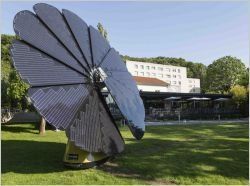 Une fleur solaire illumine un restaurant lyonnais