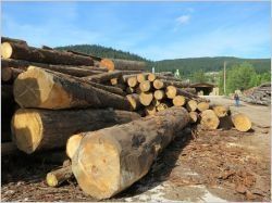 Bois P.E : un nouveau centre pluridisciplinaire pour mieux construire