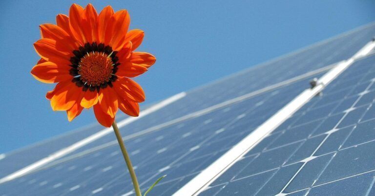 Panneaux solaires : convertir la lumière en électricité pour plus d’efficacité