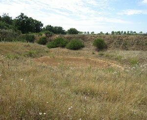 Quarry Life Award : Heidelberg Materials lance la 6ème édition de son concours valorisant la préservation de la nature