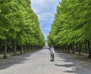 Dans les grands centres urbains de France, des accès aux espaces verts très disparates